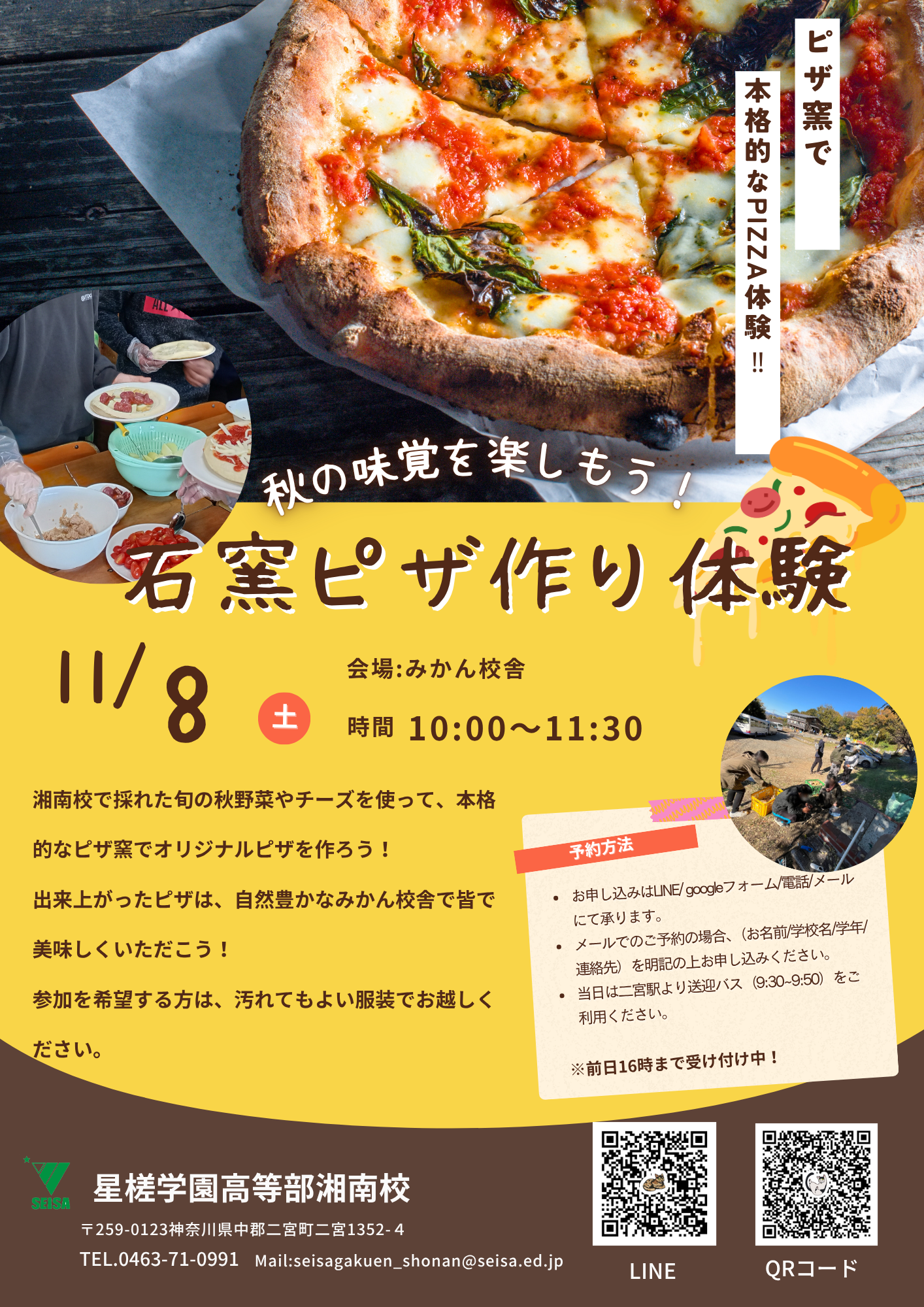 ひかっちさま確認ページ♡ ファイナルファンタジーIX フェイスマグカップ ビビ 素材に関する誤